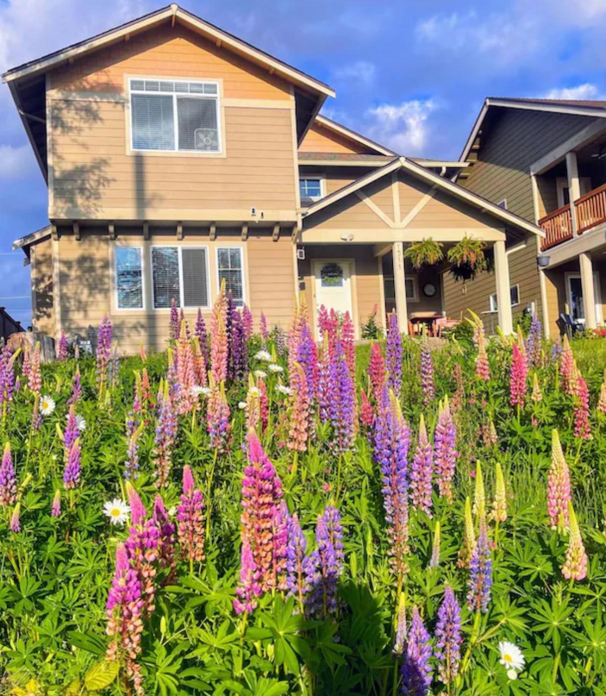Central Tacoma Homestay With Breakfast Included -Private Room- ภายนอก รูปภาพ